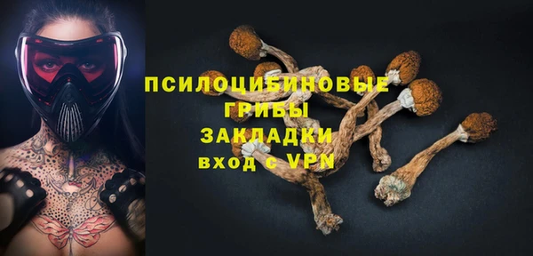 гидра Бородино