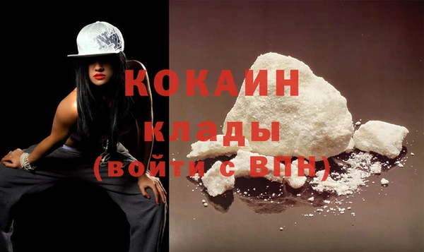 гашиш Богданович