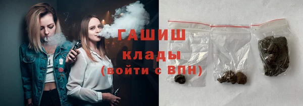гидра Бородино