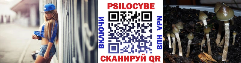 гидра онион  Щучье  Псилоцибиновые грибы GOLDEN TEACHER 